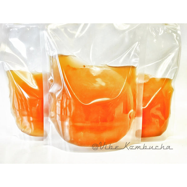 Kombucha Cultures - SCOBY